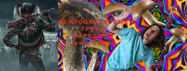 скорость Няндома