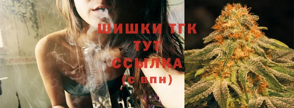 индика Остров