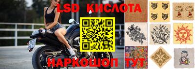 mdpv Кингисепп