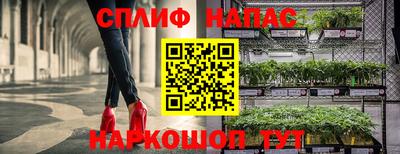 mdpv Кингисепп