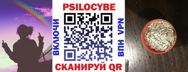 наркотики  Якутск  Галлюциногенные грибы Psilocybe 