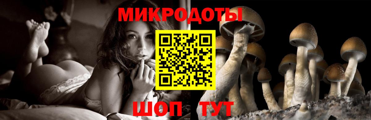 Псилоцибиновые грибы MAGIC MUSHROOMS Якутск